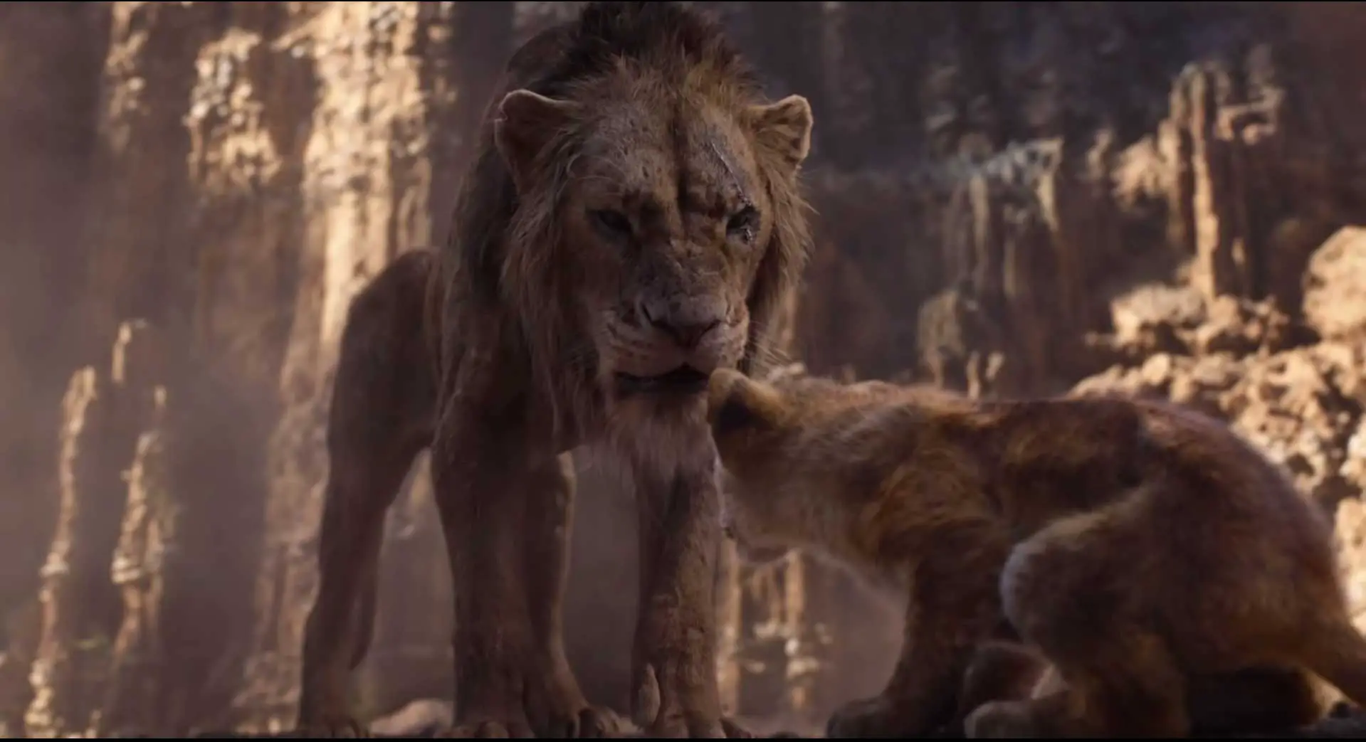 The Lion King Movie Download: Is Tamilrockers the Best Option?