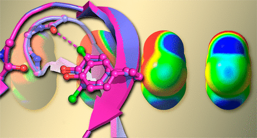 Unveiling the Science and Application of QPD Blotter in Biotechnology